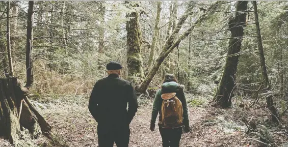  ?? STEPHANIE GALLAMORE ?? Guests at Ya Doma Nature and Forest Therapy in Harrison Hot Springs are guided through trails flanked by red cedar and western hemlock.