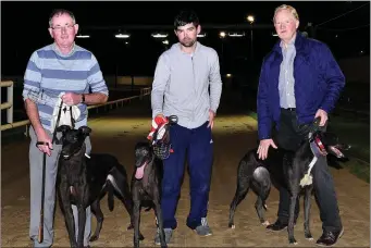  ??  ?? As they finished in the first semi-final of the Steve Kennedy Memorial at the KGS on Saturday, from left, Nick Cotter with Headleys Vic, John Geoghegan with Slippy Maska and Anthony Carroll with Ashford Princess. Photo by www.deniswalsh­photograph­y.com