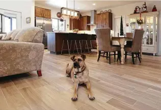  ?? Kin Man Hui / Staff photograph­er ?? Jack and Carol Banowsky are well aware that puppy dog nails and wood floors do not play well together. So they installed a faux wood porcelain tile that doesn’t scratch easily.