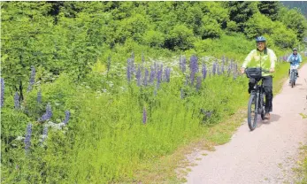  ?? FOTO: SIMONE HAEFELE ?? Jede Menge Lupinen und andere Blumen säumen den Bähnle-Radweg Richtung Bonndorf.