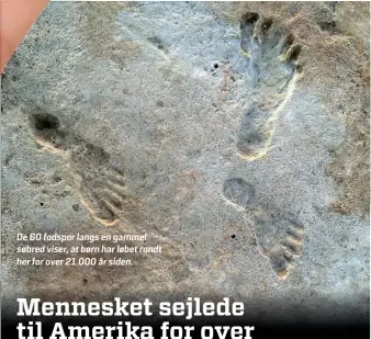  ?? ?? De 60 fodspor langs en gammel søbred viser, at børn har løbet rundt her for over 21.000 år siden.