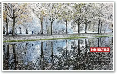  ?? ?? FOTO DES TAGES Zarter Schnee liegt auf den bunten Blättern. In der Karlsaue in Kassel grüßte gestern schon einmal der Winter.