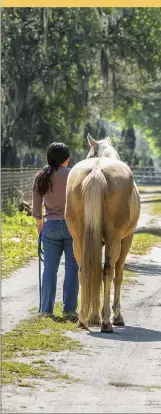  ??  ?? Most states have laws that govern estray horses (and other livestock), and you need to follow them to protect yourself—if you keep a horse who isn’t yours, you could be charged with horse theft!