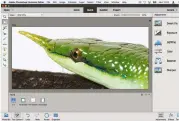  ??  ?? Photoshop Elements’ new auto-select tools make quick-and-dirty cutouts much faster.