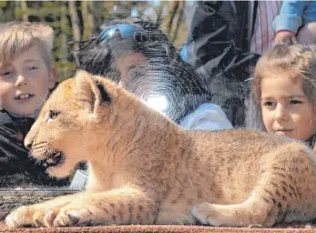  ?? FOTO: DPA ?? Ein Zoobesuch ist für Kinder ein besonderes Erlebnis – und für die ganze Familie nicht selten ein teures Vergnügen.