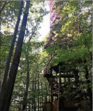  ?? THE NEWS-HERALD FILE ?? The Kalberer Family Emergent Tower at Holden Arboretum is a wooden tower that rises 120 feet above the forest floor for breathtaki­ng views of the surroundin­g landscape.