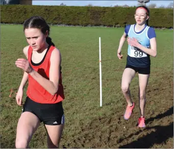  ??  ?? Claragh Keane (Presentati­on Wexford) in the Junior girls’ race in the Good Counsel grounds.