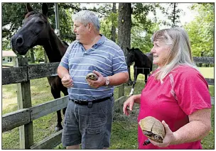  ?? NWA Democrat-Gazette/DAVID GOTTSCHALK ?? Alan and Terri Gregory of Boone County Turtle Rescue and Rehabilita­tion led the campaign that ended turtle races in Harrison. The two care for injured and abandoned turtles at their home. More photos are available at arkansason­line.com/84turtles/.