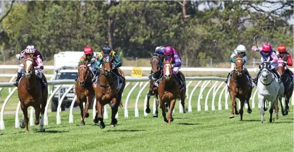  ?? Photo: Nev Madsen ?? BOSS OF A WIN: Boss’s Boy (yellow, black and green silks) hits the front for jockey Emma Ljung and trainer Jackie Compton to claim the Wimmers Premium Soft Drinks Maiden Plate (870m) at Clifford Park yesterday.