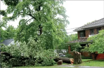  ?? Janelle Jessen/Siloam Sunday ?? A storm on Wednesday blew down trees all over town, blocking roads and causing power outages.