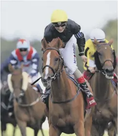  ??  ?? 0 Success: Stradivari­us was a winner at Yorkshire and Gold Cups.