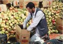  ?? - Reuters ?? TRADE FLOW SLOWS: A worker packs pomegranat­es for export in Saada, Yemen September 25, 2018.