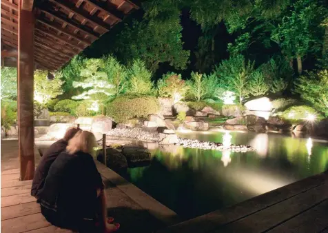  ??  ?? Der Botanische Garten in anderem Blick: Bei den Beleuchtun­gsabenden herrscht, wie hier im Japangarte­n, eine besondere Atmosphäre.