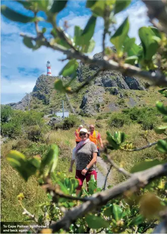  ?? ?? To Cape Palliser lighthouse... and back again