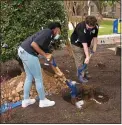  ?? SUBMITTED PHOTO ?? Shameeka Lazarre of Lansdowne and Vincent Taddei of Springfiel­d bury a time capsule, reflective of the COVID-19pandemic, on the campus of Neumann University in Aston.