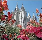  ?? ?? Flowers bloom in front of the Salt Lake Temple, at Temple Square, in Salt Lake City. The Church of Jesus Christ of Latter-day Saints yesterday came out in support of The Respect for Marriage Act under considerat­ion in Congress after years of opposing recognitio­n of same-sex marriage.