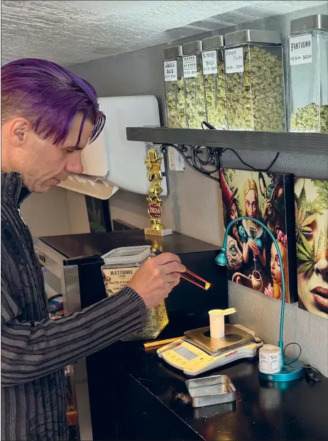  ?? COURTESY PHOTO ?? The Vault co-owner Tra Venaglia weighs flower on Monday (March 25) before a wall of cannabis-related artwork. Since it opened in November 2022, the dispensary has remained the only cannabis retailer in Red River.