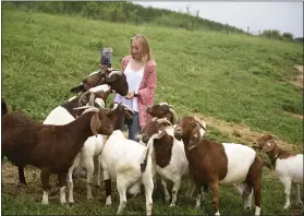  ?? MEDIANEWS GROUP ?? Hailey Blatt, an eighth-grader at Conrad Weiser Middle School, shown on her family’s North Heidelberg Township farm in July, won honorable mention in the 2021Nation­al Ag Day Video Contest sponsored by Berks Agricultur­al Resource Network (BARN).