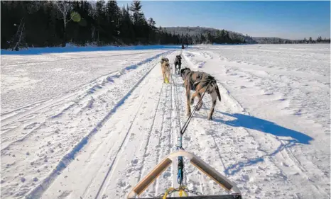  ??  ?? Frieren gilt nicht: Eine Fahrt mit dem Hundeschli­tten auf dem gefrorenen Lac-Blanc im Süden der Provinz Québec. ALLE FOTOS: ANDREA PAULY: