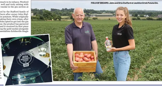  ??  ?? FIELD OF DREAMS: John and Orla Stafford of Jackford Irish Potato Gin.