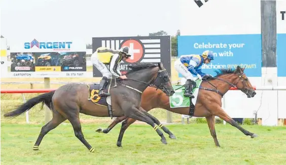  ??  ?? Cambridge mare Artiste (Rosie Myers) defeats Amorata in Waitangi Day’s Wairarapa Cup at Tauherenik­au.