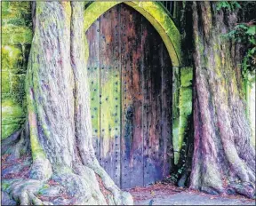  ?? 7667394 ?? This medieval door flanked by yew trees is thought to have inspired Lord of the Rings’ Doors of Durin.
