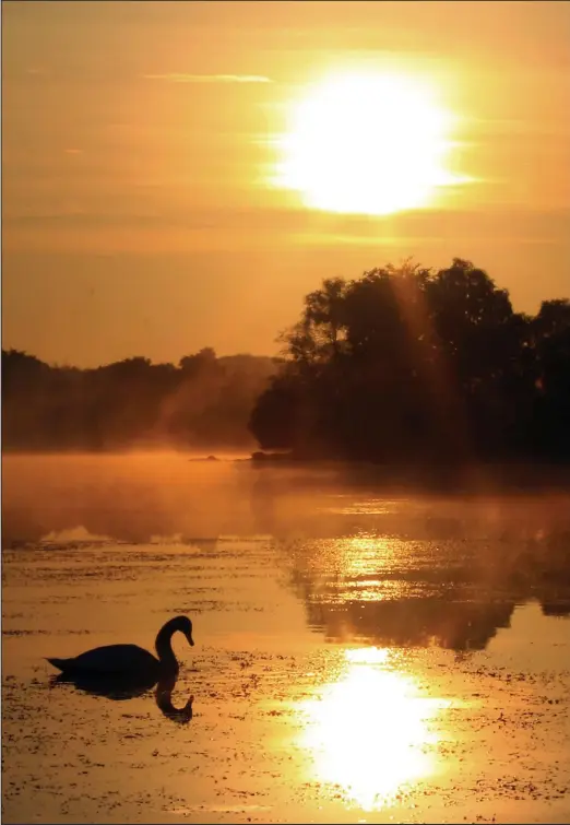  ??  ?? Golden sunrise: An idyllic scene as mist hangs over the water at Banton Loch, near Kilsyth, Lanarkshir­e, yesterday