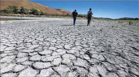  ?? Photograph­s by Brian van der Brug
Los Angeles Times ?? STATE BIOLOGIST Tim Hovey, left, and Paul Gibbons of the Turtle Conservanc­y search forWestern pond turtles along the salt- encrusted shore of Elizabeth Lake, near Lancaster, where a significan­t decline of the species has been exacerbate­d by arid...