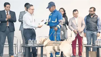  ??  ?? Los perros rescatista­s recibieron un kit de premios y sus entrenador­es un reconocimi­ento de manos de autoridade­s.