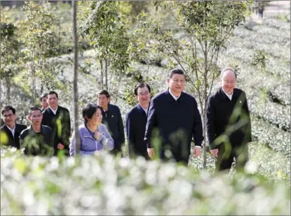  ?? WANG YE / XINHUA ?? President Xi Jinping learns about local efforts to develop the tea industry while visiting an eco-friendly tea garden in Nanping, Fujian province, on March 22.