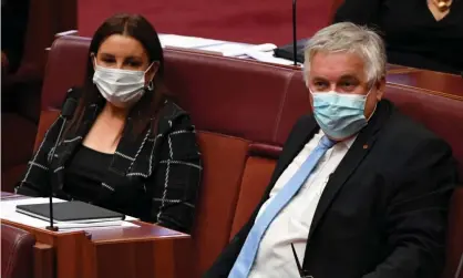  ?? Photograph: Mick Tsikas/AAP ?? Jacqui Lambie joined independen­t senators Rex Patrick and Stirling Griff, and Labor and the Greens to scrap powers proposed by the Coalition that could have seen charities deregister­ed for minor offences.
