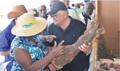  ??  ?? Minister of Industry, Commerce, Agricultur­e and Fisheries Karl Samuda holds a piece of yam grown in Trelawny as he interacts with a female farmer during his tour of the booths at the Hague Agricultur­al and Industrial Show in Trelawny on Wednesday.