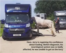  ??  ?? Here, Jerry is regaining his confidence about loading. Before diagnosis, hisneurolo­gical system was so badly affected, he was unable to get on the lorry