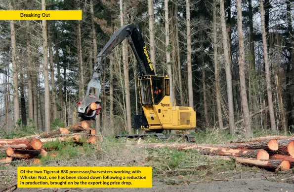  ??  ?? Of the two Tigercat 880 processor/harvesters working with Whisker No2, one has been stood down following a reduction in production, brought on by the export log price drop.