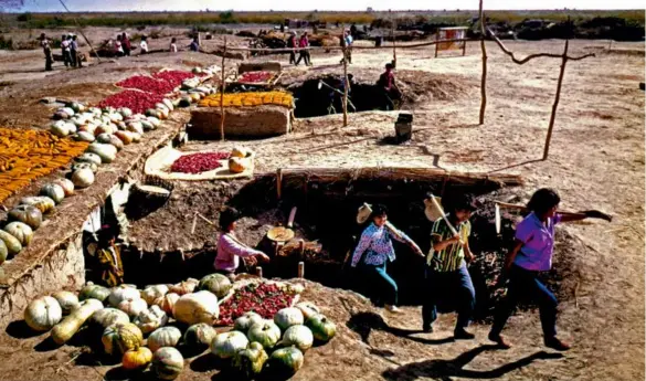  ?? 本刊资料 ?? 20世纪60年代，进入塔里木的新疆生产­建设兵团，住“地窝子”、吃粗粮、顶酷暑、冒严寒、抗风沙，在荒漠中开辟出了大面­积的耕田。