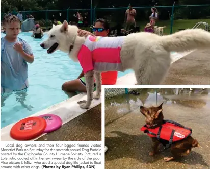 ?? (Photos by Ryan Phillips, SDN) ?? Local dog owners and their four-legged friends visited Moncrief Park on Saturday for the seventh annual Dog Paddle hosted by the Oktibbeha County Humane Society. Pictured is Lola, who cooled off in her swimwear by the side of the pool. Also picture is...