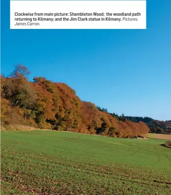  ?? Pictures: James Carron. ?? Clockwise from main picture: Shambleton Wood; the woodland path returning to Kilmany; and the Jim Clark statue in Kilmany.