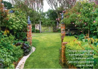  ??  ?? Chinese warriors flank a garden path, backed by a tea rose on the right and a passionfru­it vine on the left.