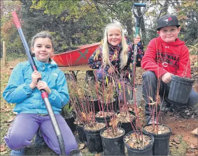  ?? ALISON JENKINS/THE GUARDIAN ?? Eliot River Elementary School students Ella Nickerson, left, Rachel Adams and Dylan Drummond were among the many enthusiast­ic students helping create a pollinator bed at the Terry Fox Trail Enhancemen­t Group project in Cornwall.