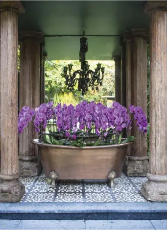  ??  ?? In one of the garden’s numerous follies, a copper bathtub filled with purple moon orchids is surrounded by 200-year-old Indian columns