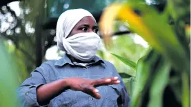  ??  ?? Above: Meurel Baloyi manages the Skukuza Indigenous Nursery in the Kruger National Park; insert: roots of the wild ginger tree are sought after by traditiona­l healers, who use them for a number of ailments. Photos: Lucas Ledwaba