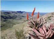  ??  ?? Feathersto­ne Kloof that will be dominated by nine turbines.