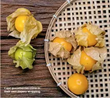  ??  ?? Cape gooseberri­es come in their own papery wrapping.