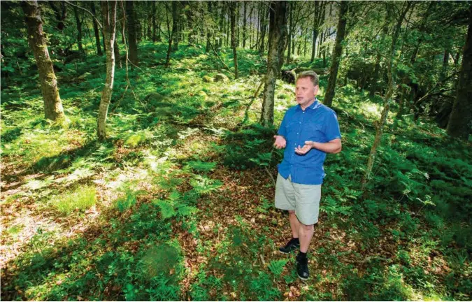  ?? FOTO: JARLE R. MARTINSEN ?? I dette området like nord for Spangereid har Bjørn Olav Aas Hansen hatt ønsker om å bygge 14 hytter. Men en strid med kommunen gjennom 12 år har satt en stopper for det. Nå vil han bringe saken inn for Sivilombud­smannen.