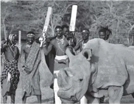  ??  ?? WARRIORS: Maasai warriors pose with Sudan, the only male of the last three northern white rhino sub-species on the planet, following a charity cricket match played in the wilds of Laikipia county’s Ol-Pejeta Conservanc­y, at the foot of Mount Kenya. AFP