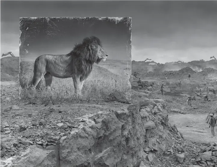  ??  ?? Nick Brandt: Quarry With Lion, 2014; above, Behind the Scenes — Elephant panel being erected, 2015