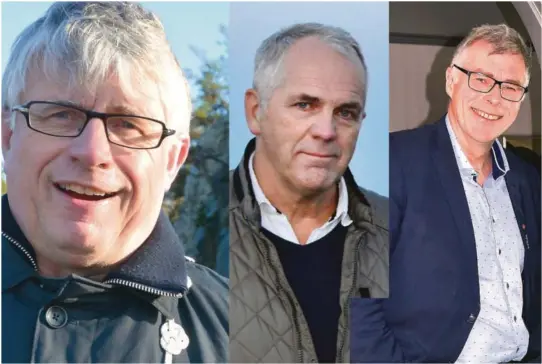  ??  ?? TJENTE OVER MILLIONEN: Arne Thomassen (H), Ove Gundersen (KrF) og Jon Rolf Naess (Ap) tjente alle over millionen i 2017.