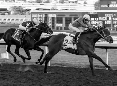  ?? VASSAR PHOTOGRAPH­Y ?? Chase the Chaos earned an automatic berth to the Preakness with his win in the El Camino Real Derby. He will run next in the Jeff Ruby Steaks at Turfway or Santa Anita Derby.