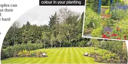  ??  ?? Below: Think how much maintenanc­e can you stand? Inset: Consider colour in your planting