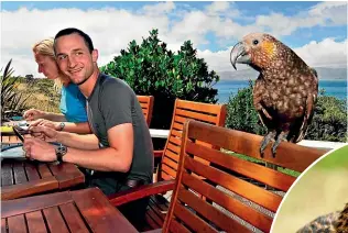  ?? KĀPITI ISLAND NATURE TOURS ?? The comfortabl­e lodge provides simple accommodat­ion and plenty of birds.